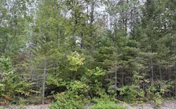 Pictures of Land property located at Lots 35-37 E Grand Lake Rd, Presque Isle, MI 49777 for sales - image #1