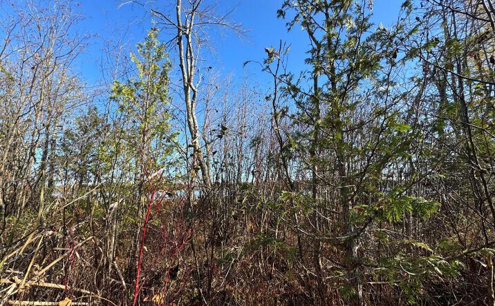 Pictures of Land property located at Lot #27 Outer Drive, Presque Isle, MI 49777 for sales - image #1