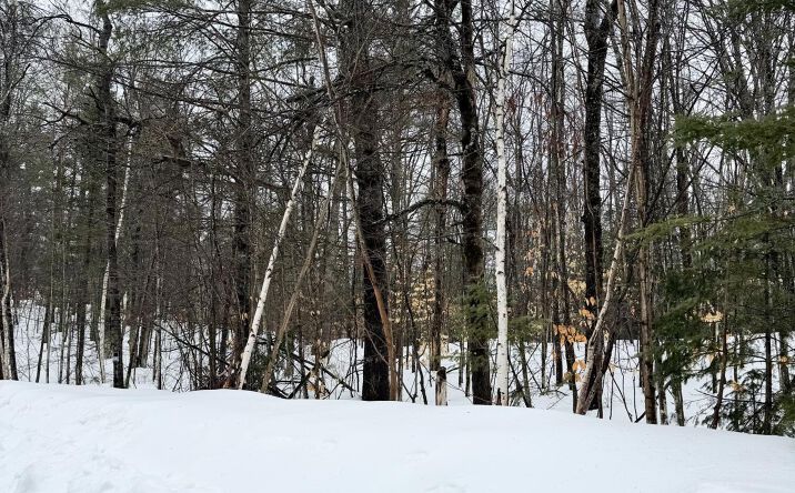 Pictures of Land property located at Lot 67 Birch, Frederic, MI 49733 for sales - image #1