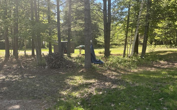Pictures of Land property located at 16130 Primrose Ln, Millersburg, MI 49759 for sales - image #1