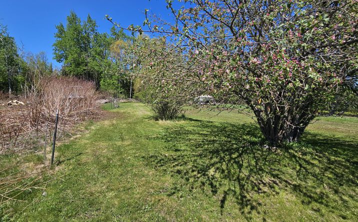 Pictures of Land property located at 1334 N Cedar, Rogers City, MI 49779 for sales - image #1
