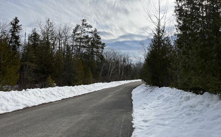 Pictures of Land property located at L 212-213 Shoreham, Presque Isle, MI 49777 for sales - image #1