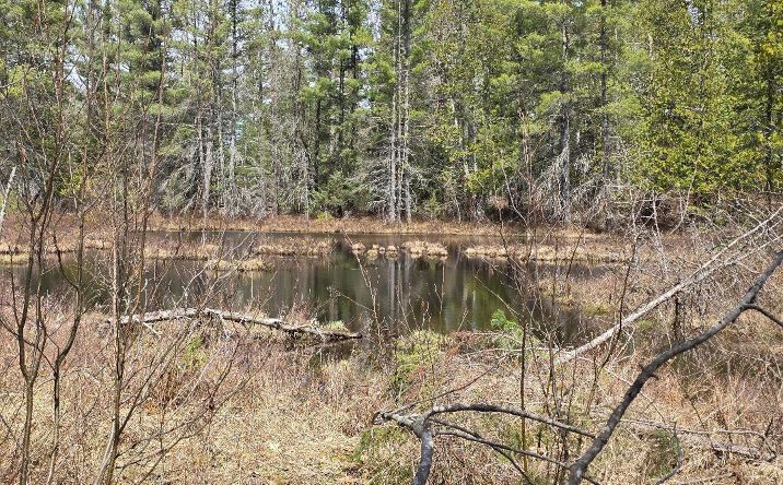 Pictures of Land property located at 13991 Royston Rd, Hawks, MI 49743 for sales - image #1