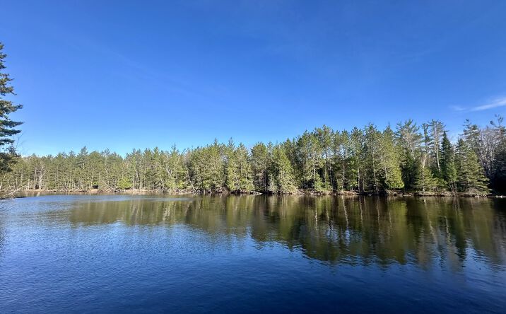 Pictures of Land property located at 26 AC Connon, Hillman, MI 49746 for sales - image #1