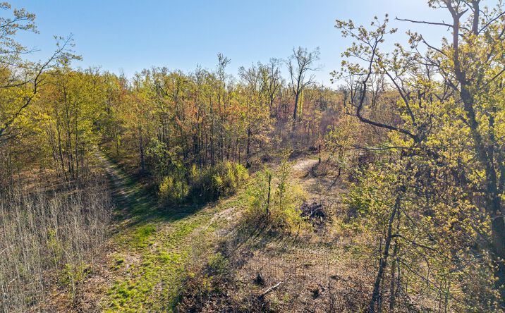 Pictures of Land property located at 21950 Co Rd 628, Hillman, MI 49746 for sales - image #1