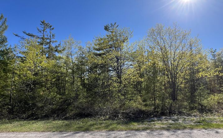 Pictures of Land property located at Lot 165 Pineview, Presque Isle Harbor, MI 49777 for sales - image #1