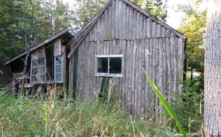 Pictures of Land property located at 7124 N M65, Lachine, MI 49753 for sales - image #1