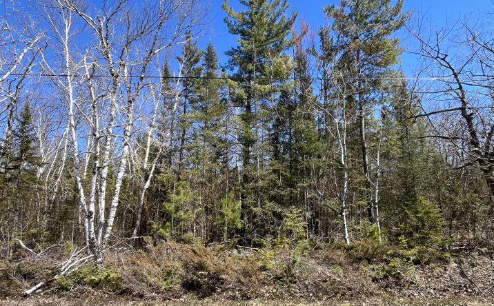 Pictures of Land property located at Lot 268 Pineview, Presque Isle Harbor, MI 49777 for sales - image #1