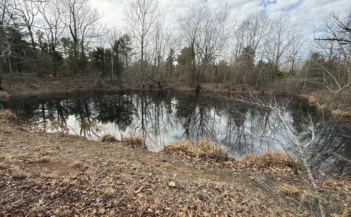 Pictures of Land property located at 150 Blue Mountain Ln, Timbo, AR 72680-8089 for sales - image #1