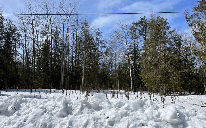 Pictures of Land property located at Lot 125 Sunaqua, Presque Isle Harbor, MI 49777 for sales - image #1