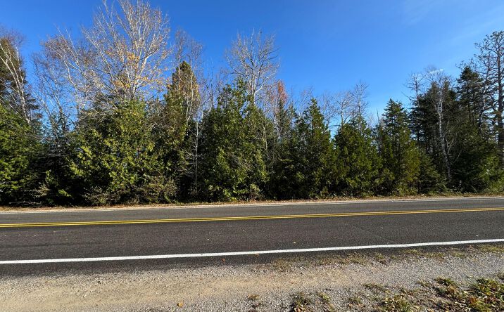 Pictures of Land property located at Lot #29 Outer Drive, Presque, MI 49777 for sales - image #1