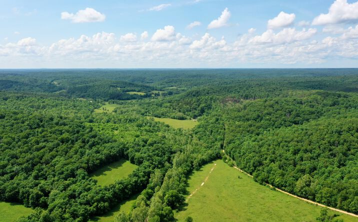 Pictures of Land property located at 0 CR 264A, Salem, MO 65560 for sales - image #1
