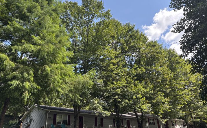 Pictures of Multifamily property located at 209 Cemetary Lane, Jonesborough, TN 37659 for sales - image #1