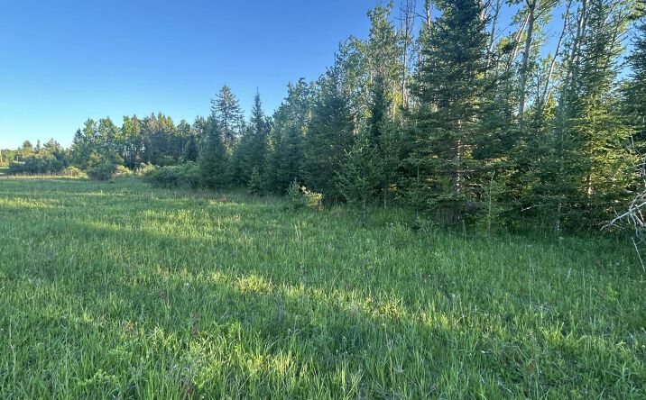 Pictures of Land property located at V/L 33.60A S County Line, Onaway, MI 49765 for sales - image #1