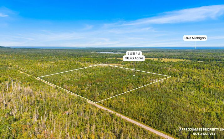 Pictures of Land property located at V/L 38.46A E Gill, Carp Lake, MI 49718 for sales - image #1