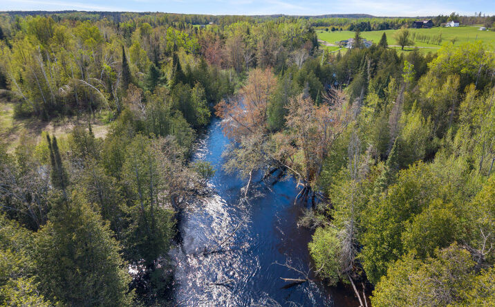 Pictures of Land property located at Erratt Rd, Onaway, MI 49765 for sales - image #1