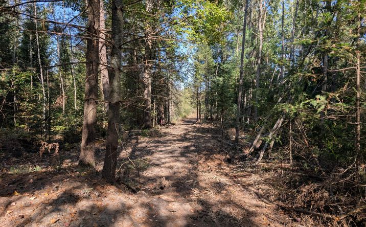 Pictures of Land property located at Lots 5&6 E Airport Dr, Atlanta, MI 49709 for sales - image #1