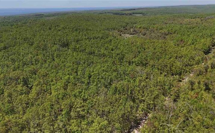 Pictures of Land property located at Parcel A S Beacon Hill Harbor Springs, Harbor Springs, MI 49740 for sales - image #1