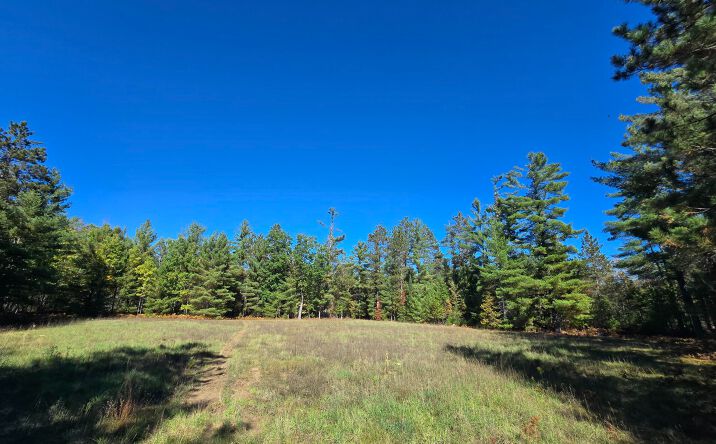 Pictures of Land property located at 455 E Helmer Lake, Fairview, MI 48621 for sales - image #1