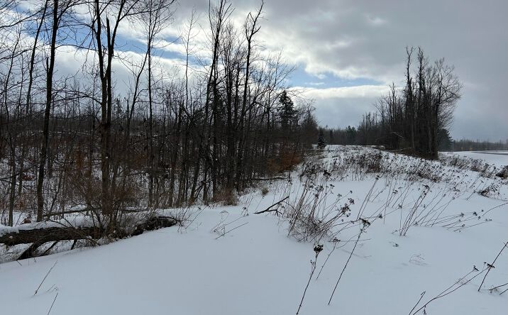 Pictures of Land property located at V/L Par 9 M-32 Hillman, Hillman, MI 49746 for sales - image #1