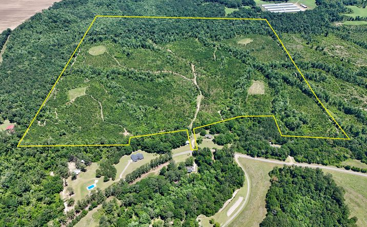 Pictures of Land property located at County Road 325, Troy, AL 36079 for sales - image #1