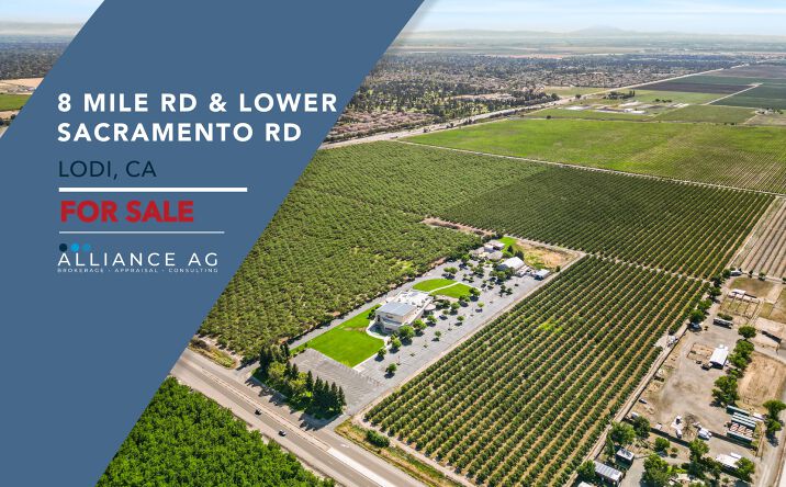 Pictures of Land property located at 8 Mile Rd & Lower Sacramento Rd, Lodi, CA 95209 for sales - image #1