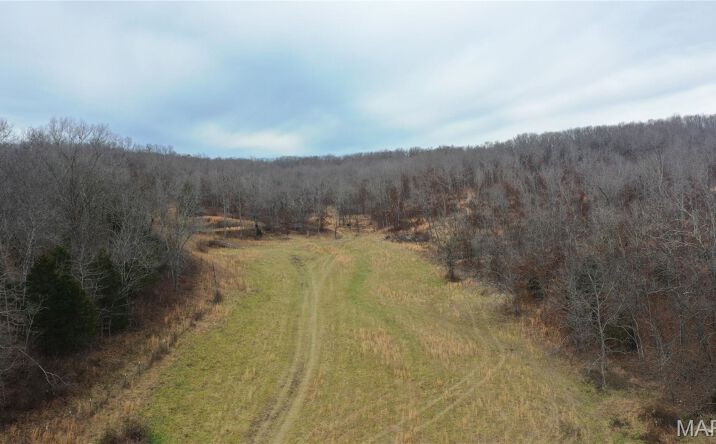 Pictures of Land property located at 0 Highway 32 East, Salem, MO 65560-9597 for sales - image #1