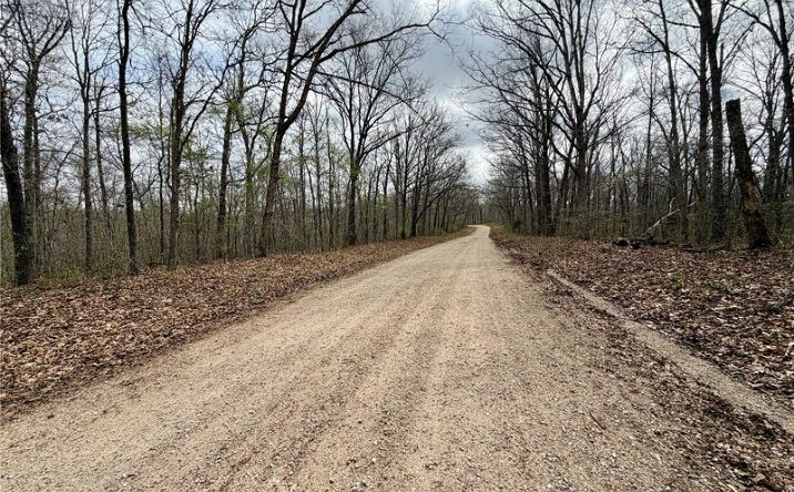 Pictures of Land property located at 0 TBD CR 4280, Salem, MO 65560 for sales - image #1