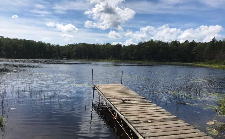 Pictures of Land property located at 148 + 149 Chippewa, Rogers City, MI 49779 for sales - image #1