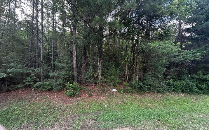 Pictures of Retail, Land property located at TBD Ebenezer Cemetery Road, Leesvill, LA 71446 for sales - image #1