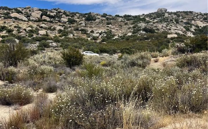 Pictures of Land property located at 8 Old Highway # 8, Pine Valley, CA 91962 for sales - image #1