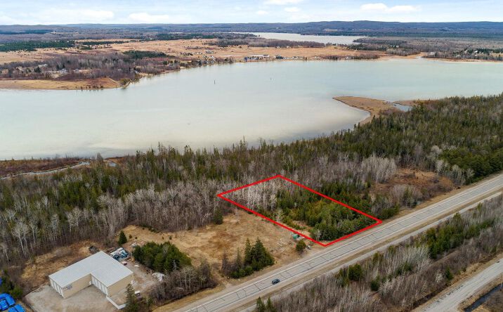 Pictures of Land property located at 8503 US-31, Alanson, MI 49706 for sales - image #1