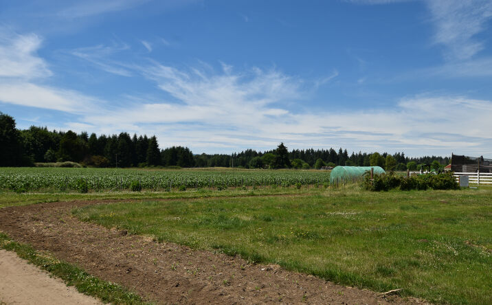 Pictures of Industrial property located at 302 93rd Avenue Southeast, Tumwater, WA 98501 for sales - image #1