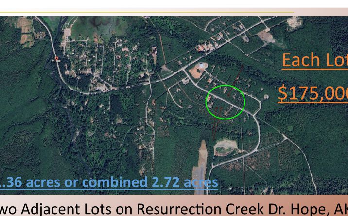 Pictures of Land property located at Resurrection Creek Dr., Hope, AK 99605 for sales - image #1
