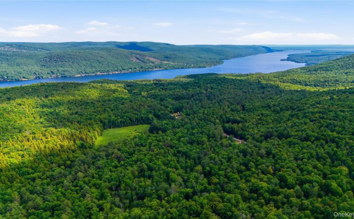 Pictures of Land, Multifamily property located at 279 Snow Road, Call Listing Agent, NY 12835 for sales - image #1