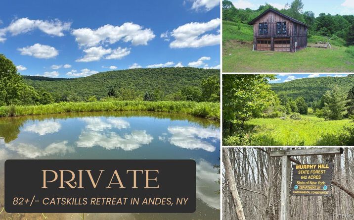 Pictures of Land, Special Purpose property located at 2613 Murphy Hill Road, Andes, NY 13731 for sales - image #1