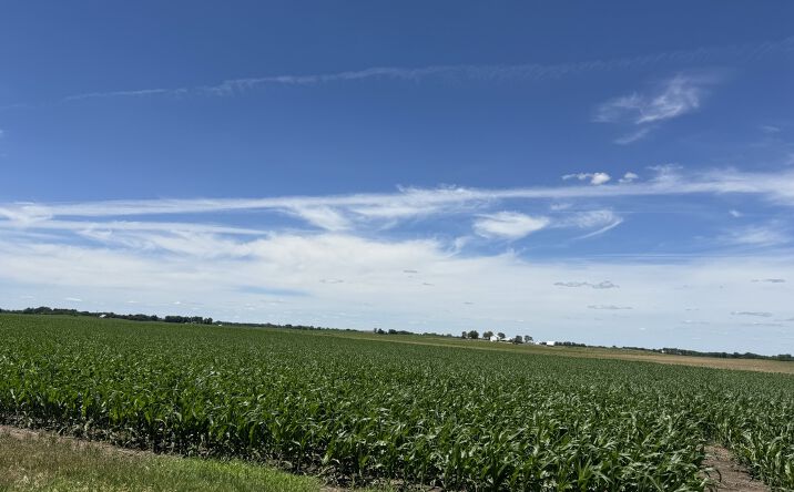Pictures of Land property located at 000 2120th Avenue N, Atkinson, IL 61235 for sales - image #1