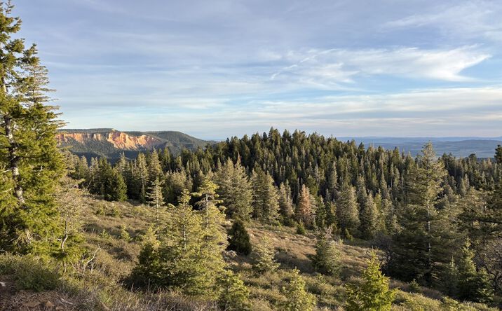 Pictures of Land property located at Paunsaugunt Mountain Ranch, Bullfrog, UT 84533 for sales - image #1