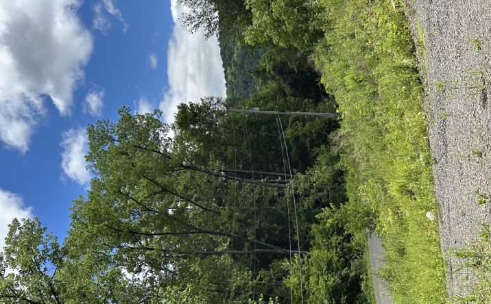 Pictures of Land property located at Stone Ledge Road, Hillsdale, NY 12529 for sales - image #1