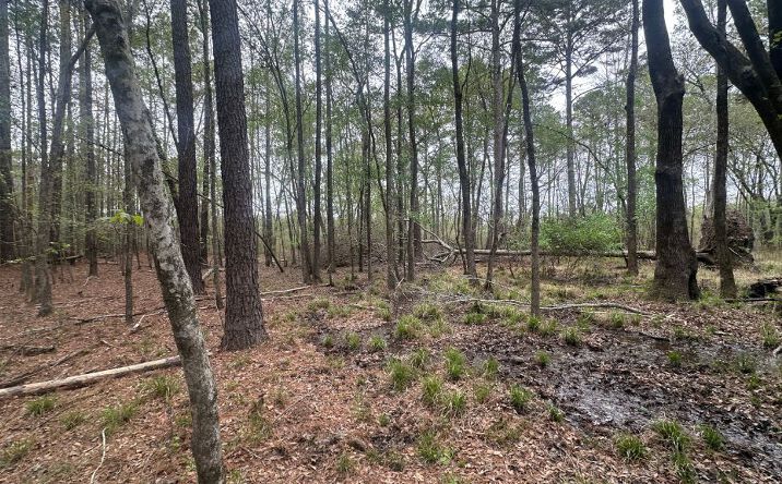 Pictures of Land property located at Fred Chance Road, Perkins, GA 30442 for sales - image #1