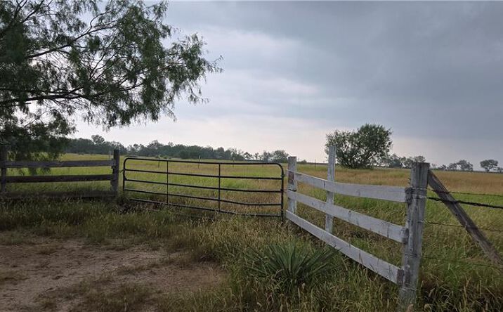 Pictures of Land property located at Leo Road W, Rio Grande City, TX 78582 for sales - image #1