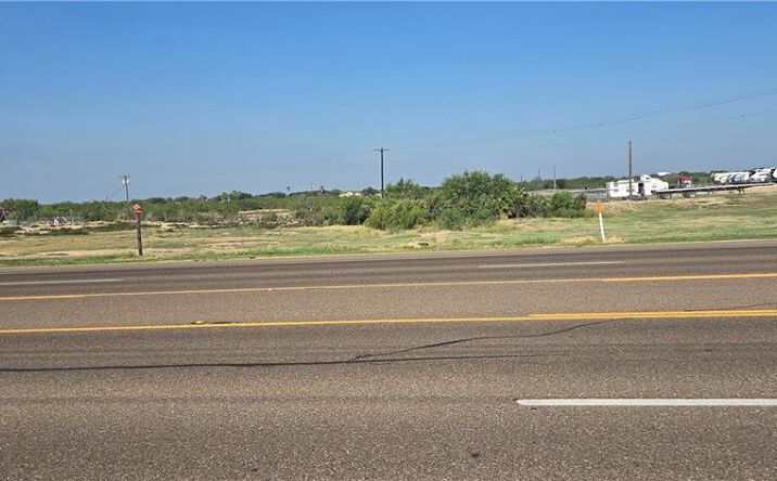 Pictures of Land property located at FM 3167, Rio Grande City, TX 78582 for sales - image #1