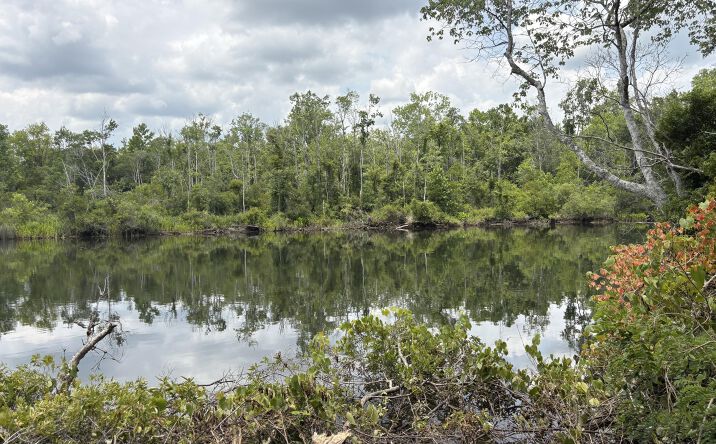 Pictures of Land property located at Bushy Park Road, Moncks Corner, SC 29461 for sales - image #1
