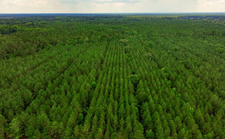 Pictures of Land property located at GA Hwy 204 & Carlos Cowart Road, Pembroke, GA 31321 for sales - image #1