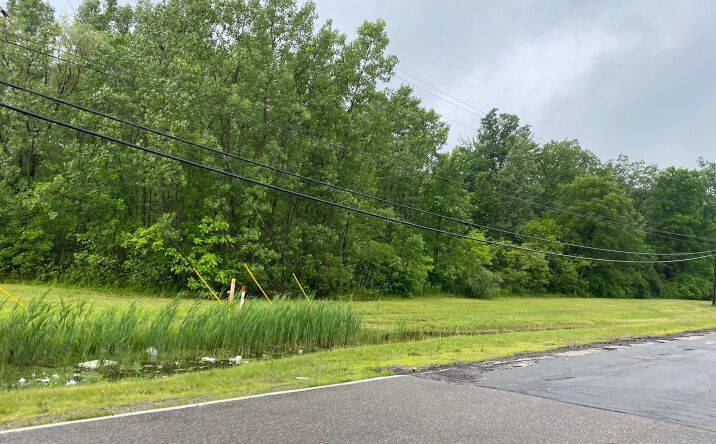 Pictures of Land, Industrial property located at OOOOO GRANT WAHRMAN, Romulus, MI 48174 for sales - image #1