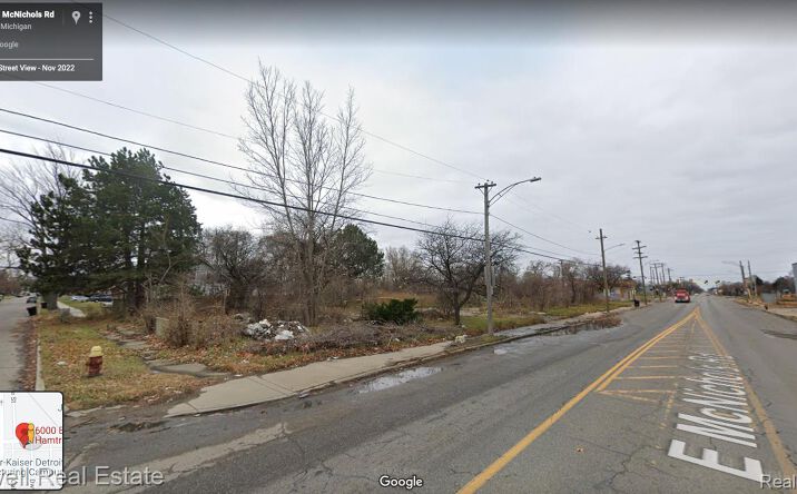 Pictures of Land property located at 6000 E MCNICHOLS RD, Hamtramck, MI 48212 for sales - image #1