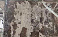 33647644