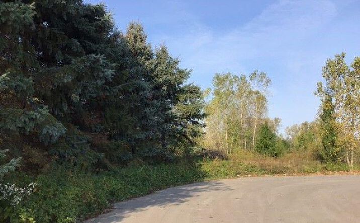 Pictures of Land property located at COUNTRY CORNER DR, Fowlerville, MI 48836 for sales - image #1