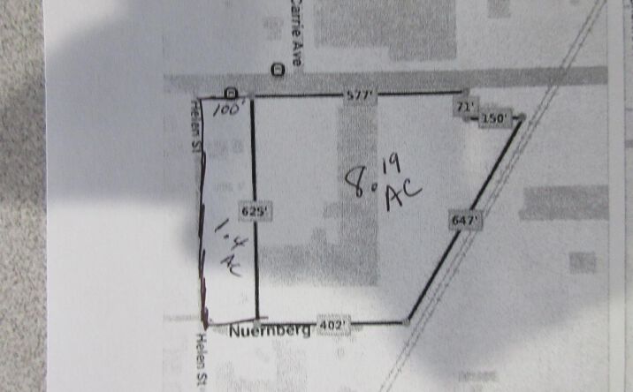 Pictures of Land, Industrial property located at 7170 E MCNICHOLS RD, Hamtramck, MI 48212 for sales - image #1