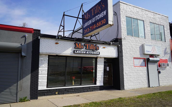 Pictures of Retail property located at 18216 W 7 MILE RD, Detroit, MI 48219 for sales - image #1